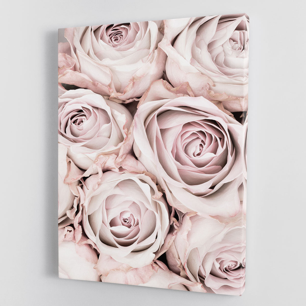 Pink Roses No 01 Canvas Print or Poster - Canvas Art Rocks - 1