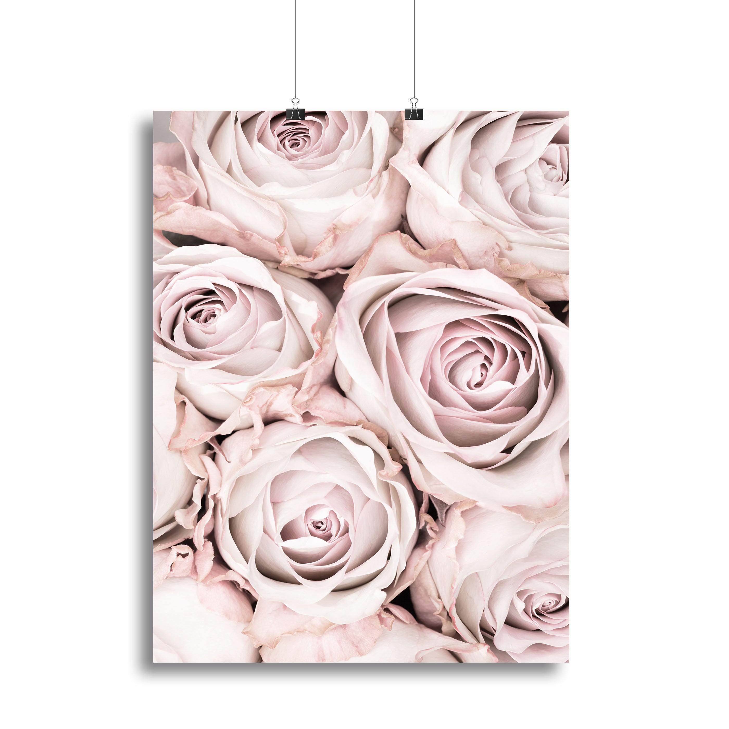 Pink Roses No 01 Canvas Print or Poster - Canvas Art Rocks - 2