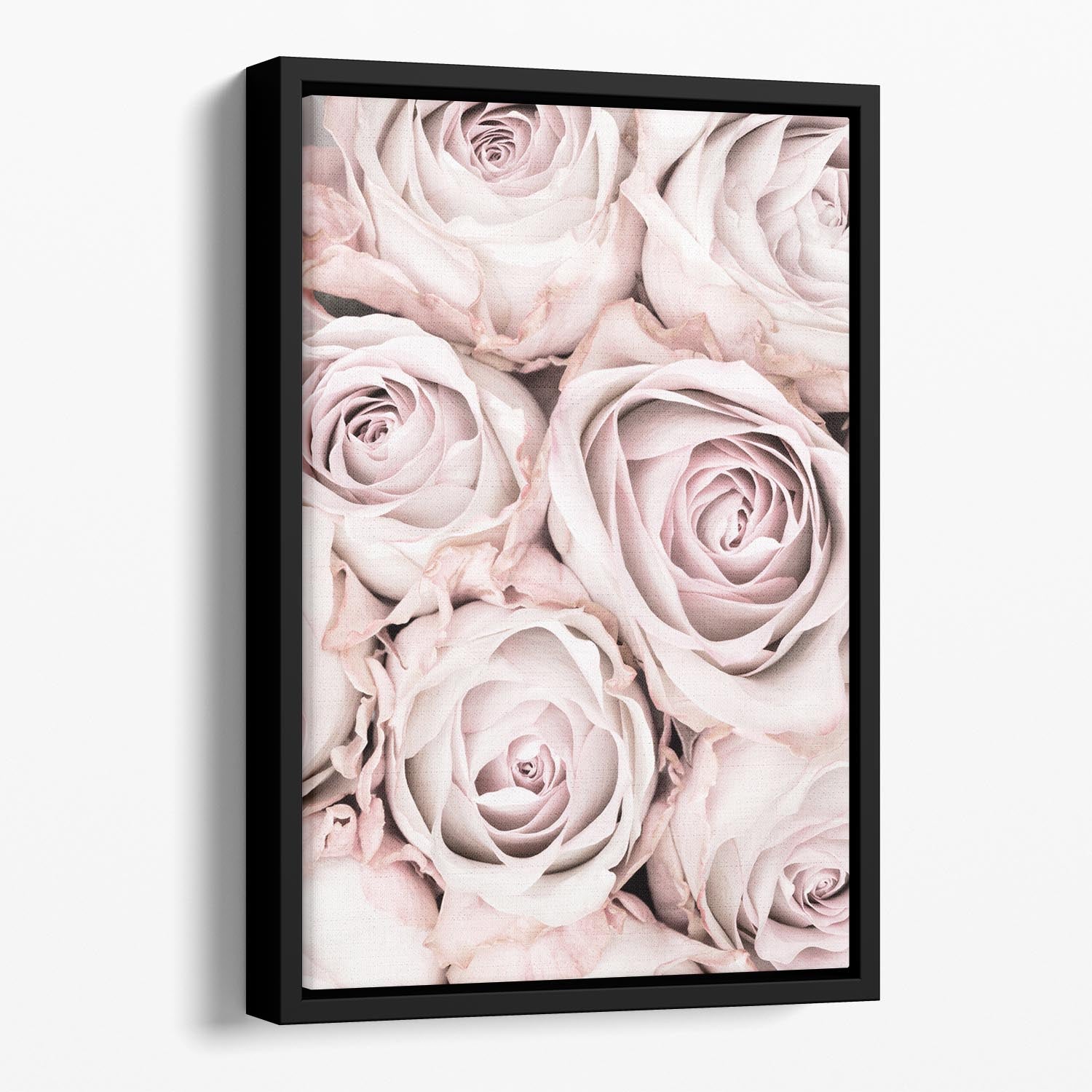 Pink Roses No 01 Floating Framed Canvas - Canvas Art Rocks - 1
