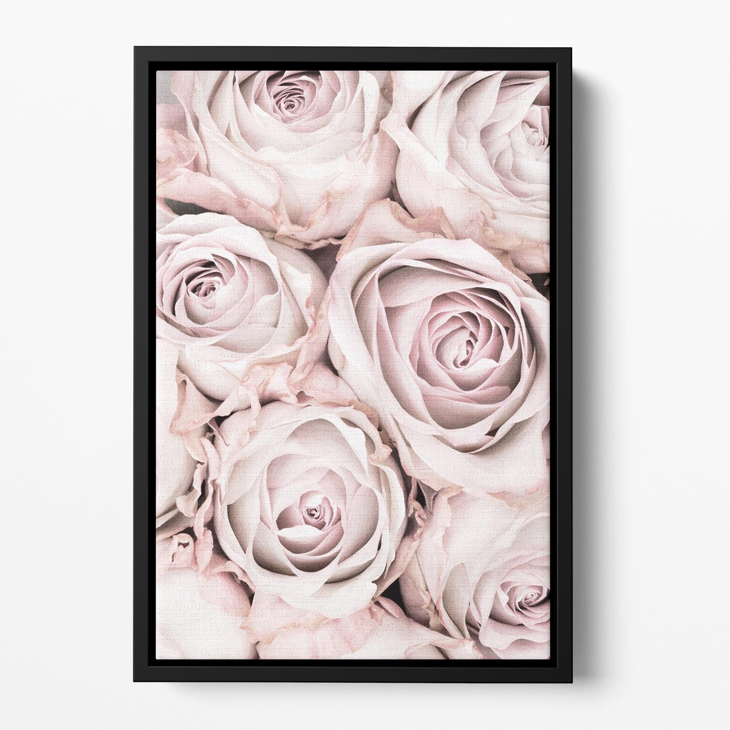 Pink Roses No 01 Floating Framed Canvas - Canvas Art Rocks - 2