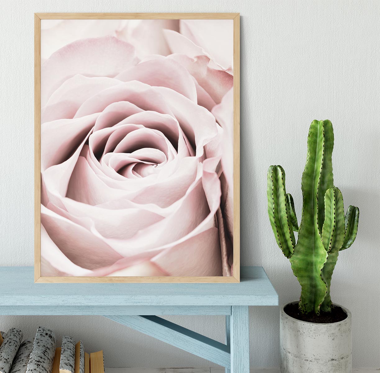 Pink Rose No 06 Framed Print - Canvas Art Rocks - 4