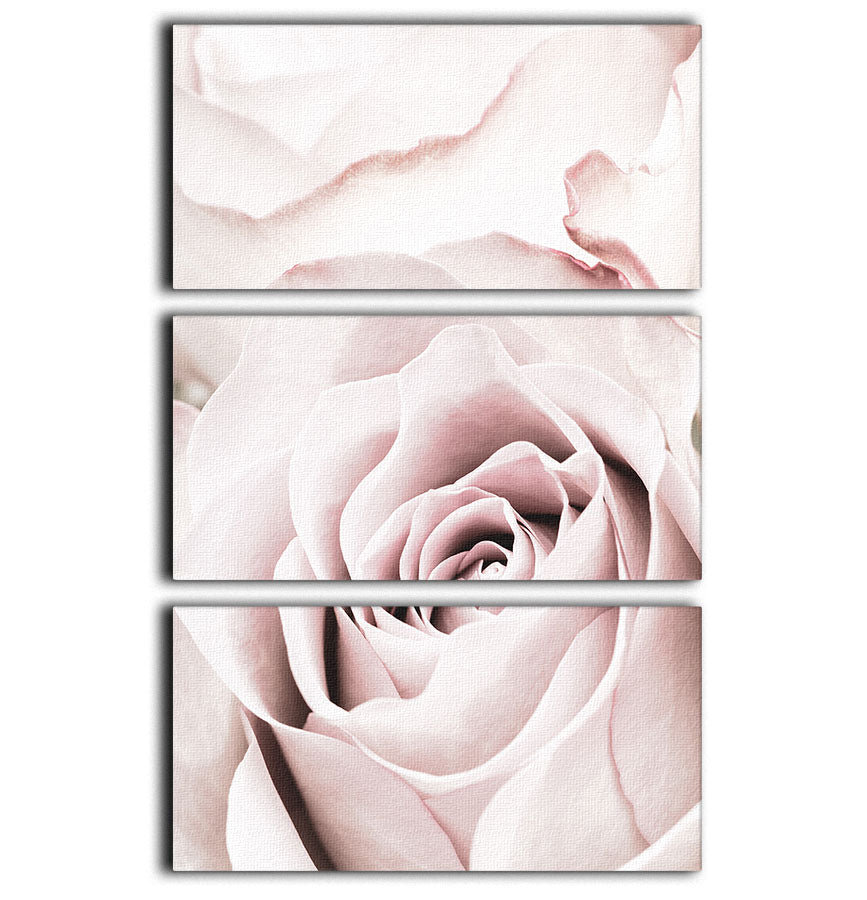 Pink Rose No 05 3 Split Panel Canvas Print - Canvas Art Rocks - 1