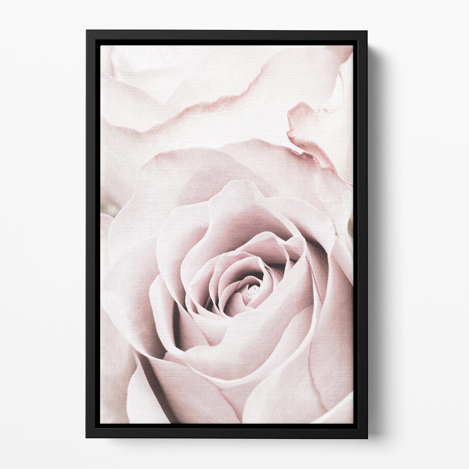 Pink Rose No 05 Floating Framed Canvas - Canvas Art Rocks - 2