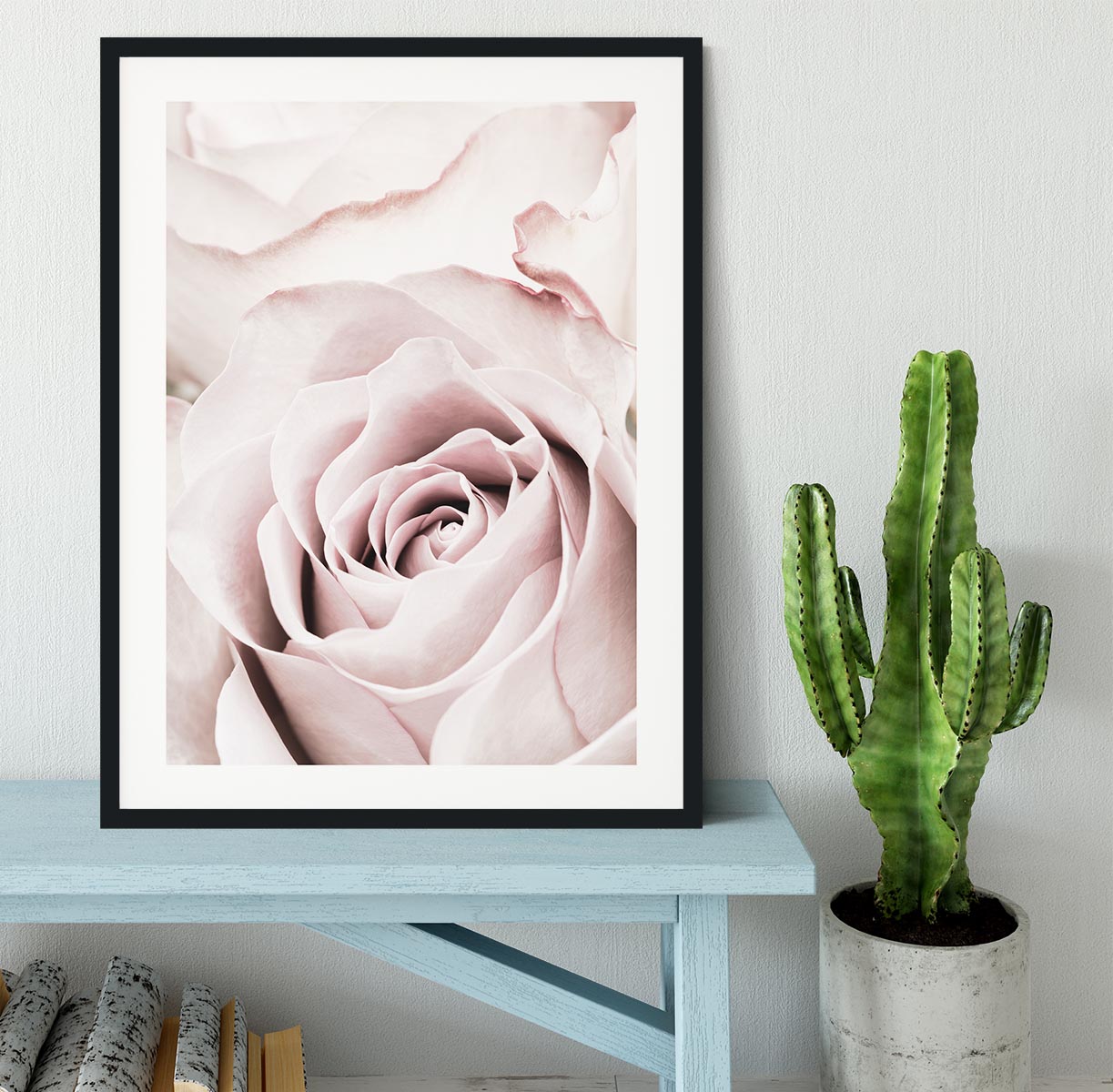 Pink Rose No 05 Framed Print - Canvas Art Rocks - 1