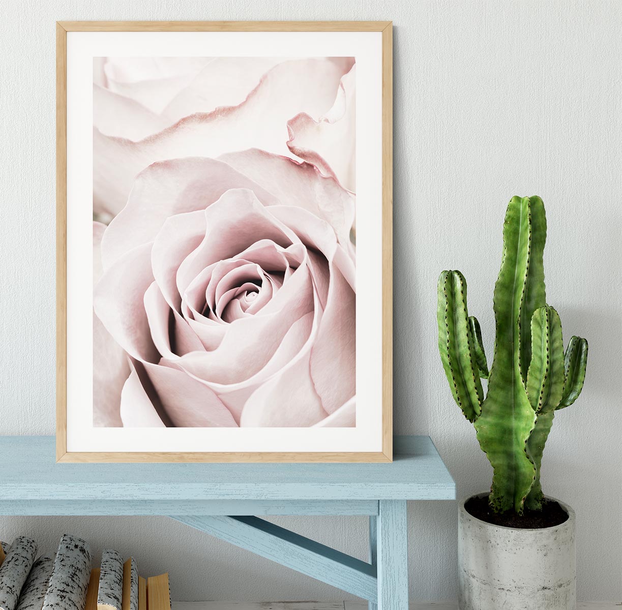 Pink Rose No 05 Framed Print - Canvas Art Rocks - 3