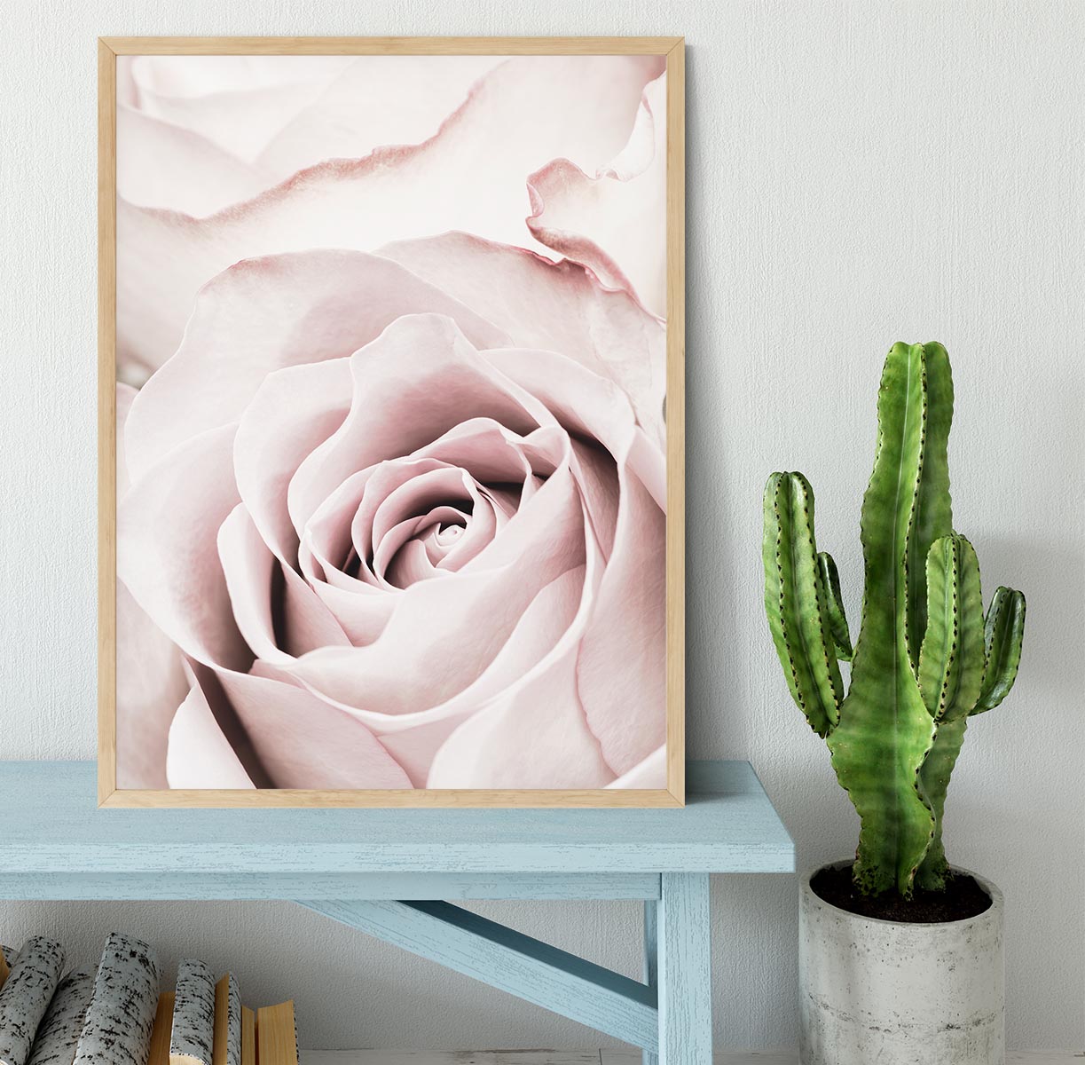 Pink Rose No 05 Framed Print - Canvas Art Rocks - 4