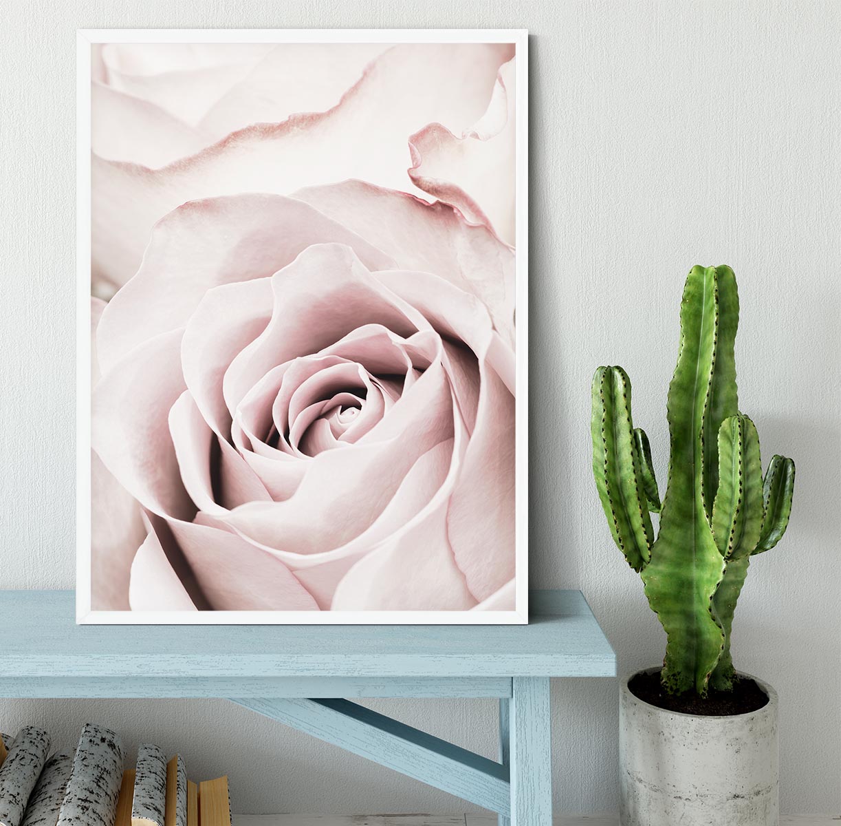 Pink Rose No 05 Framed Print - Canvas Art Rocks -6