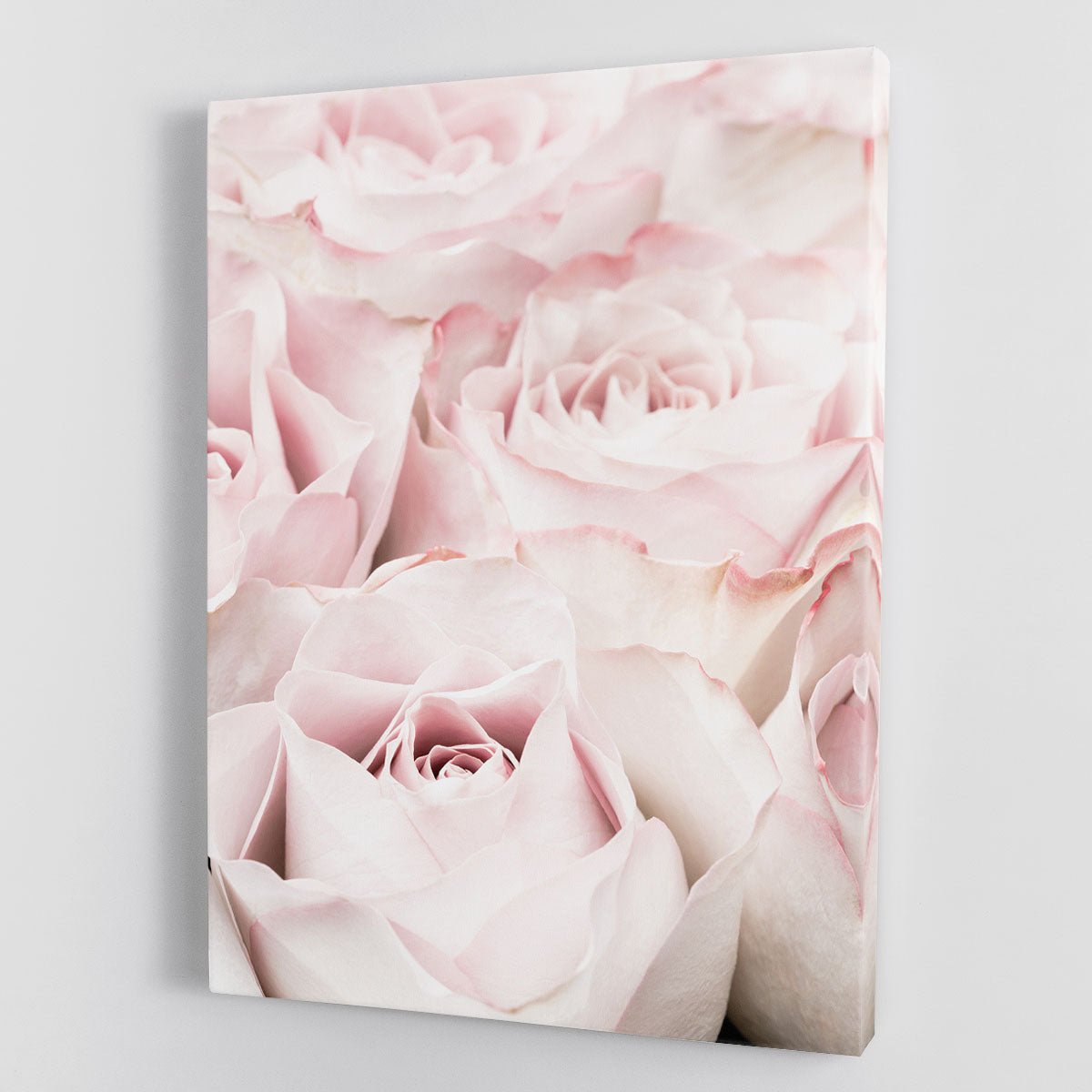 Pink Roses 05 Canvas Print or Poster - Canvas Art Rocks - 1
