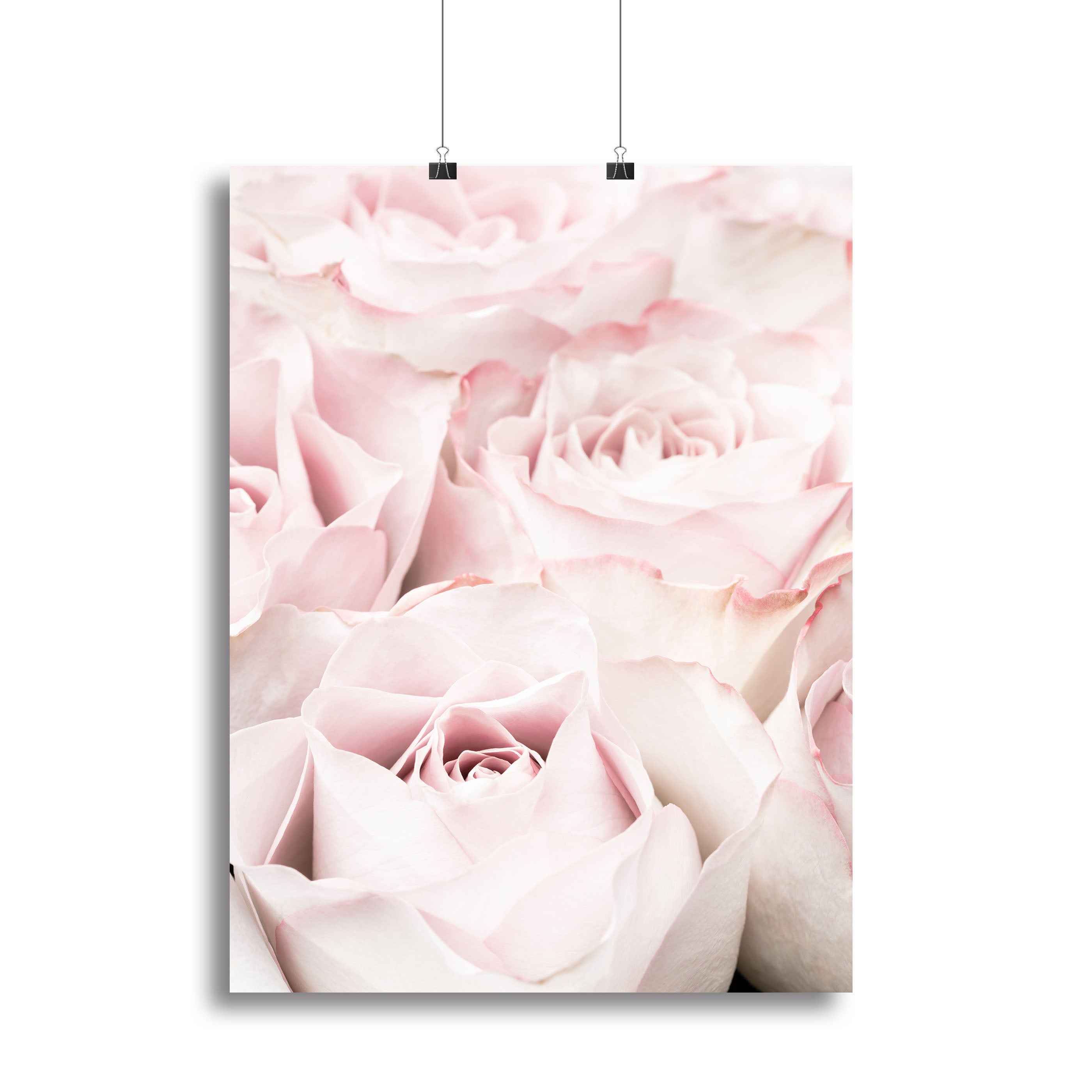 Pink Roses 05 Canvas Print or Poster - Canvas Art Rocks - 2