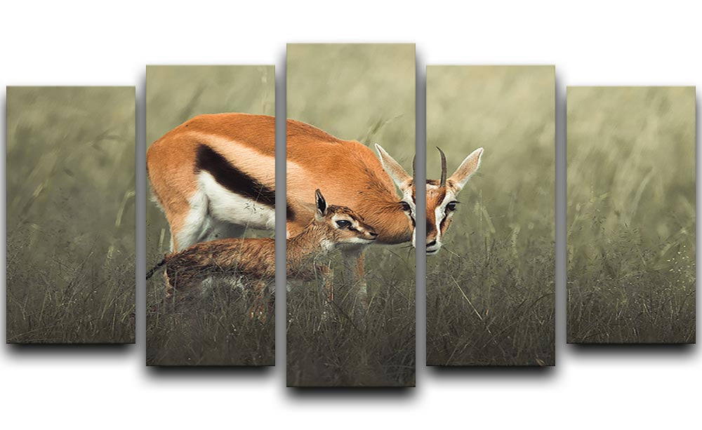 Gazelles Grazing 5 Split Panel Canvas - Canvas Art Rocks - 1