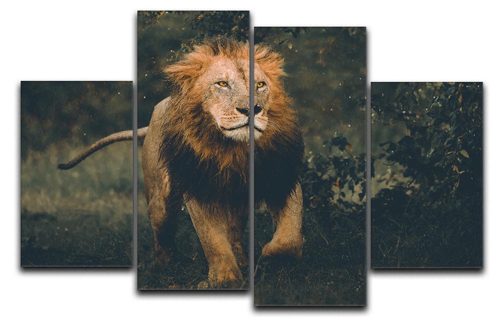 Lion Running In The Woods 4 Split Panel Canvas - Canvas Art Rocks - 1