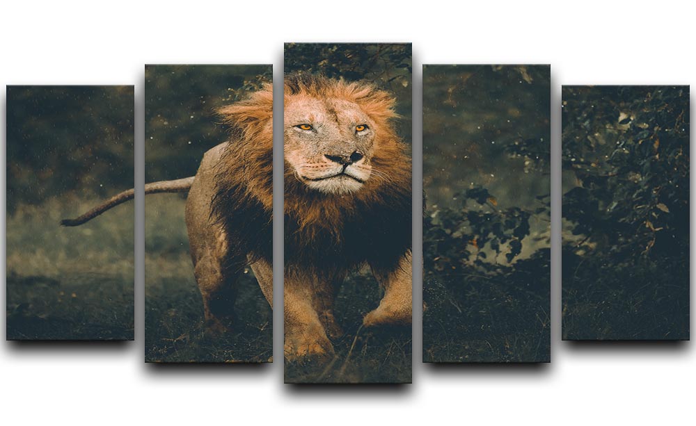 Lion Running In The Woods 5 Split Panel Canvas - Canvas Art Rocks - 1