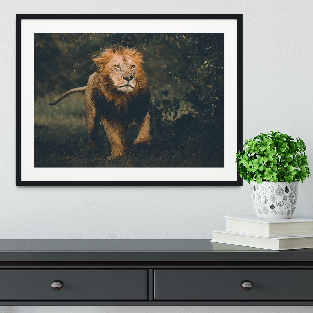 Lion Running In The Woods Framed Print - Canvas Art Rocks - 1