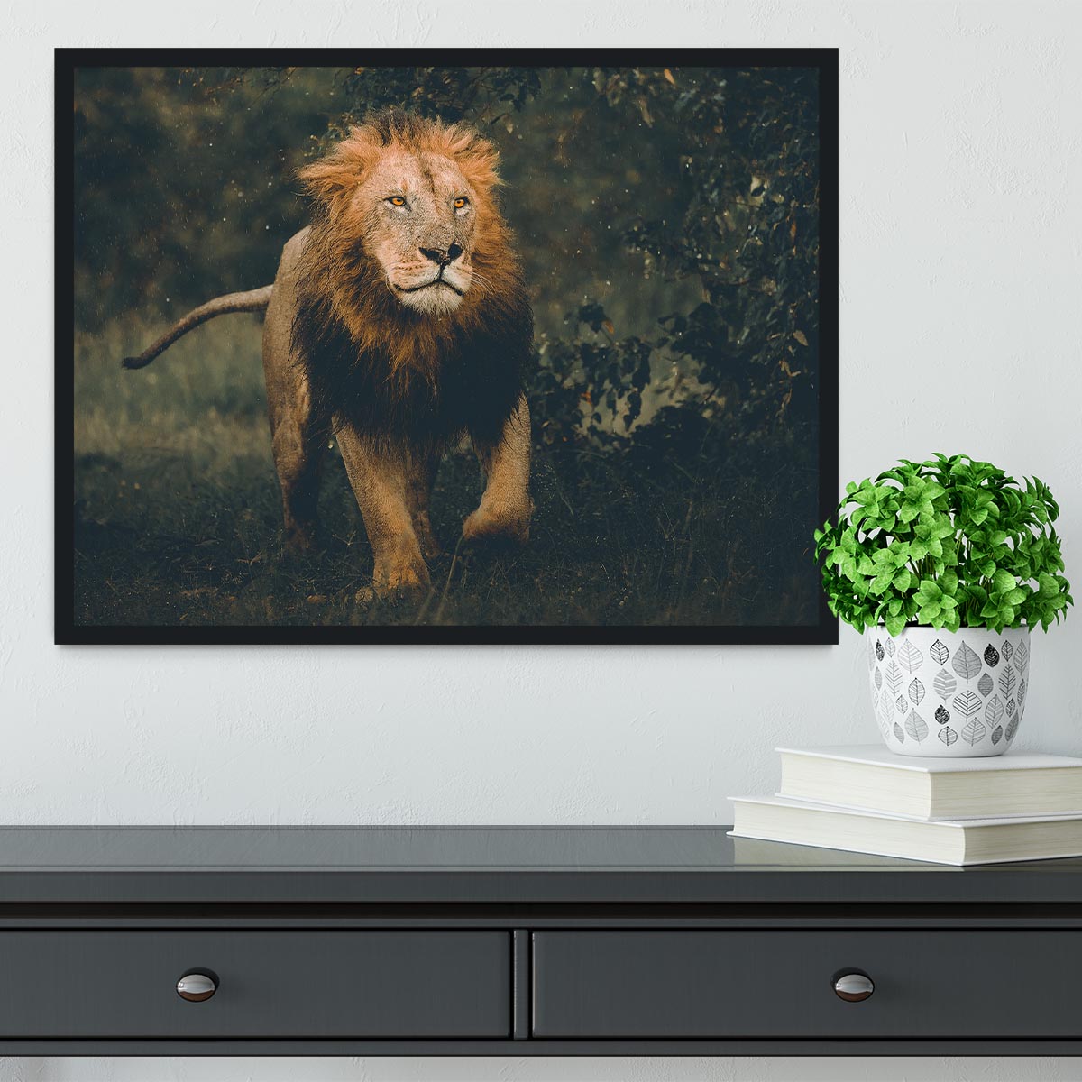 Lion Running In The Woods Framed Print - Canvas Art Rocks - 2