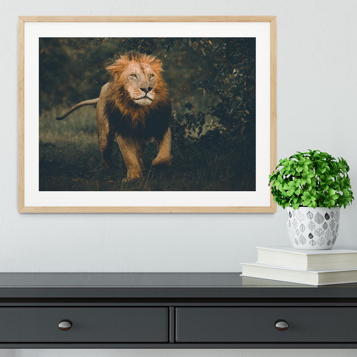 Lion Running In The Woods Framed Print - Canvas Art Rocks - 3
