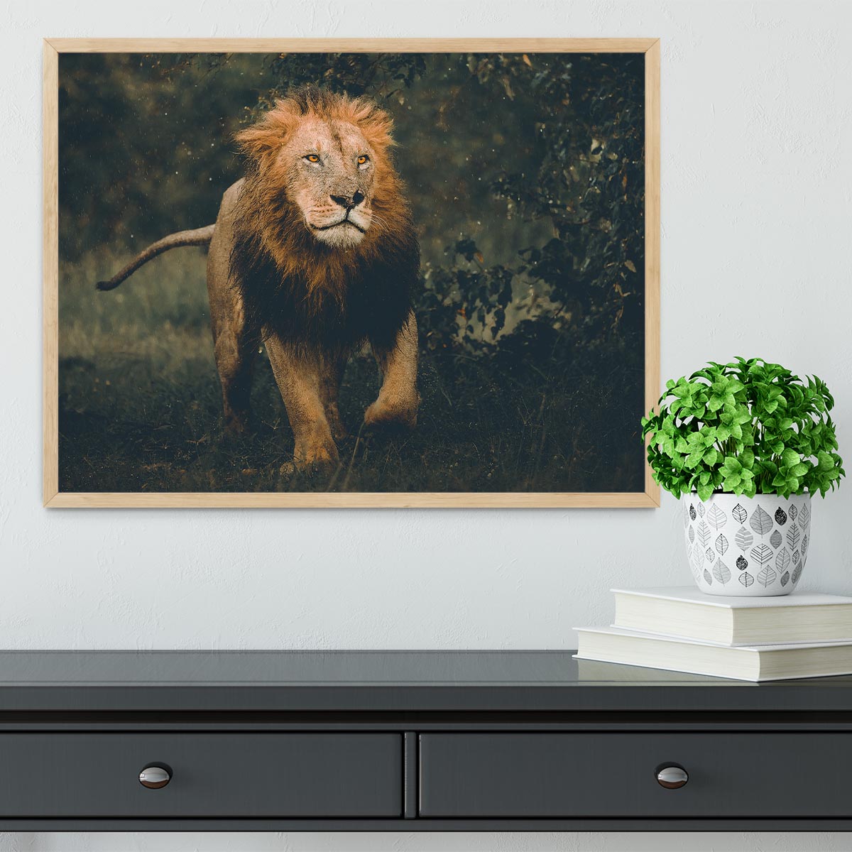 Lion Running In The Woods Framed Print - Canvas Art Rocks - 4