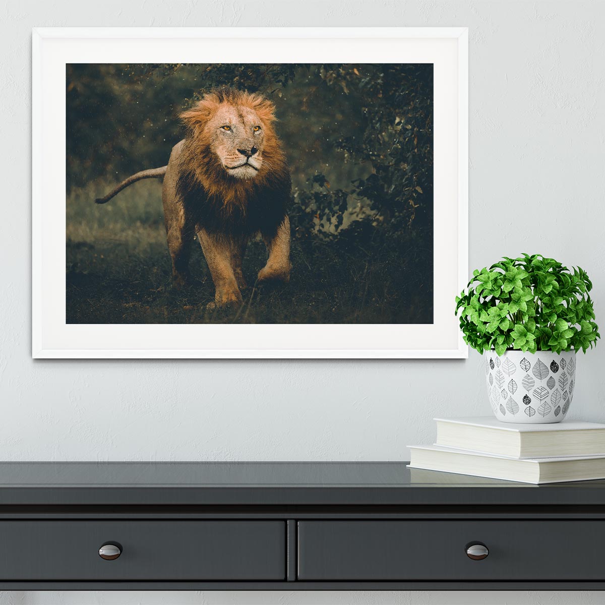 Lion Running In The Woods Framed Print - Canvas Art Rocks - 5