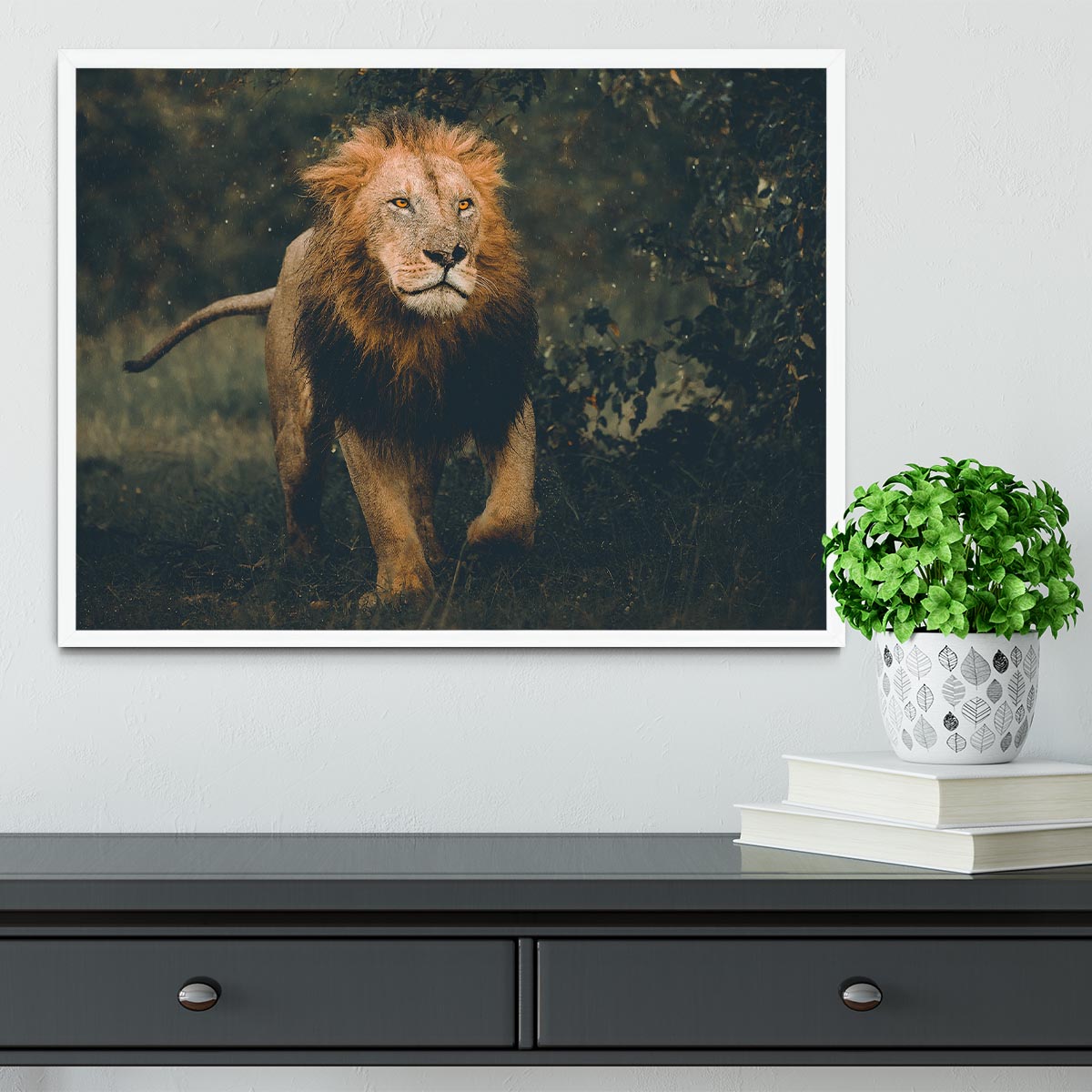 Lion Running In The Woods Framed Print - Canvas Art Rocks -6