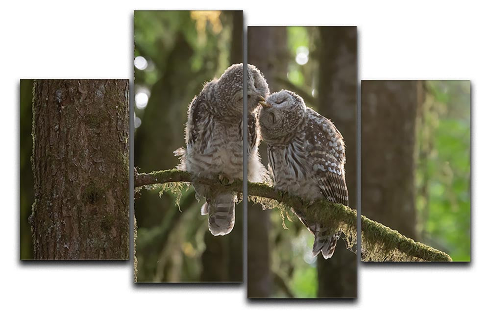 Two Owls Kissing 4 Split Panel Canvas - Canvas Art Rocks - 1