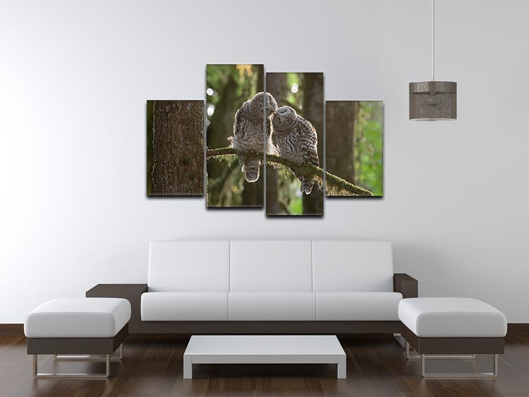 Two Owls Kissing 4 Split Panel Canvas - Canvas Art Rocks - 3