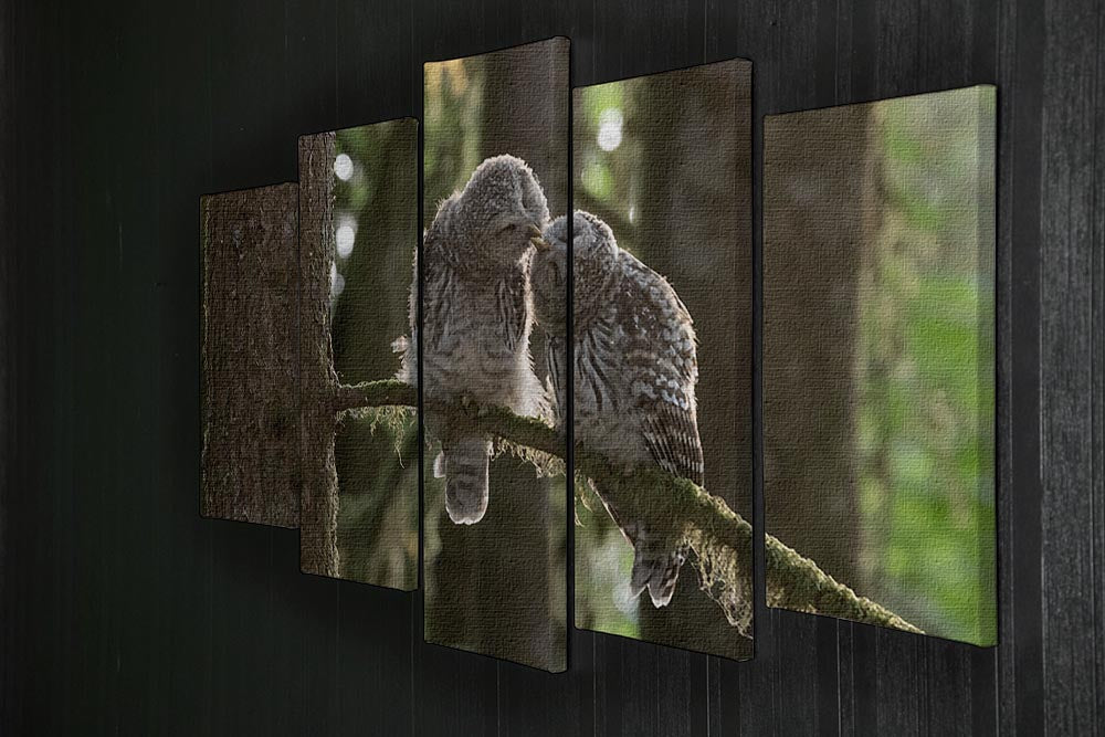 Two Owls Kissing 5 Split Panel Canvas - Canvas Art Rocks - 2