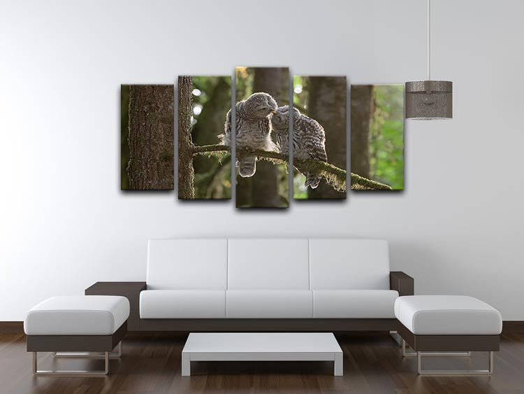 Two Owls Kissing 5 Split Panel Canvas - Canvas Art Rocks - 3