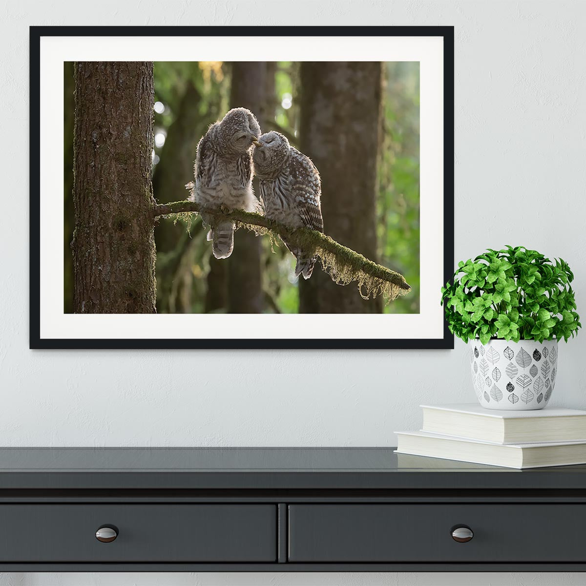 Two Owls Kissing Framed Print - Canvas Art Rocks - 1