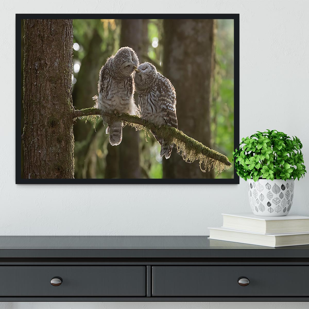 Two Owls Kissing Framed Print - Canvas Art Rocks - 2