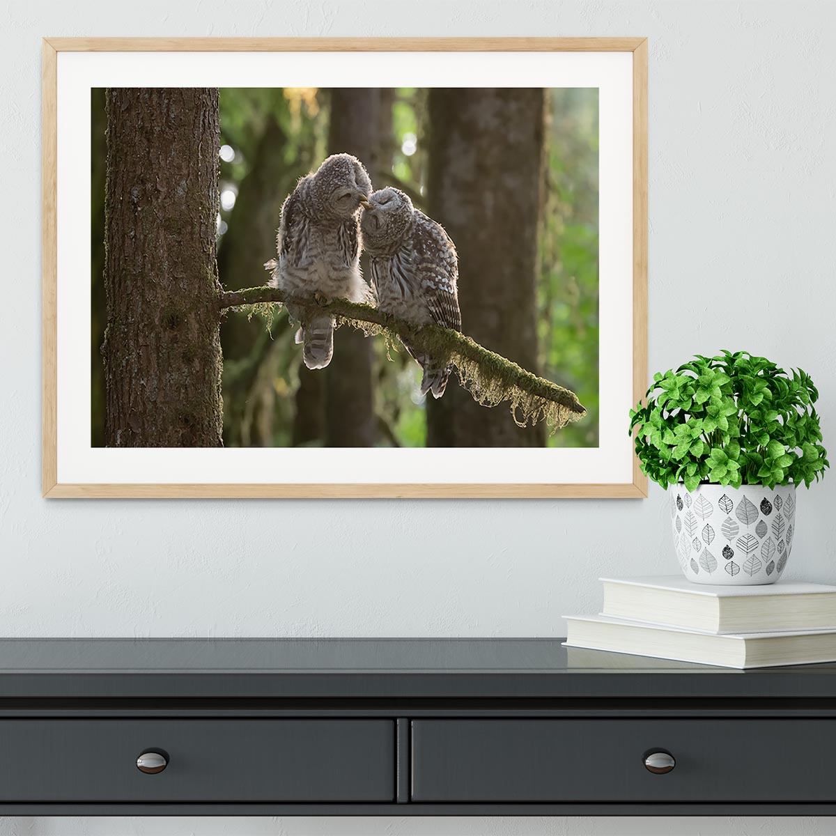 Two Owls Kissing Framed Print - Canvas Art Rocks - 3