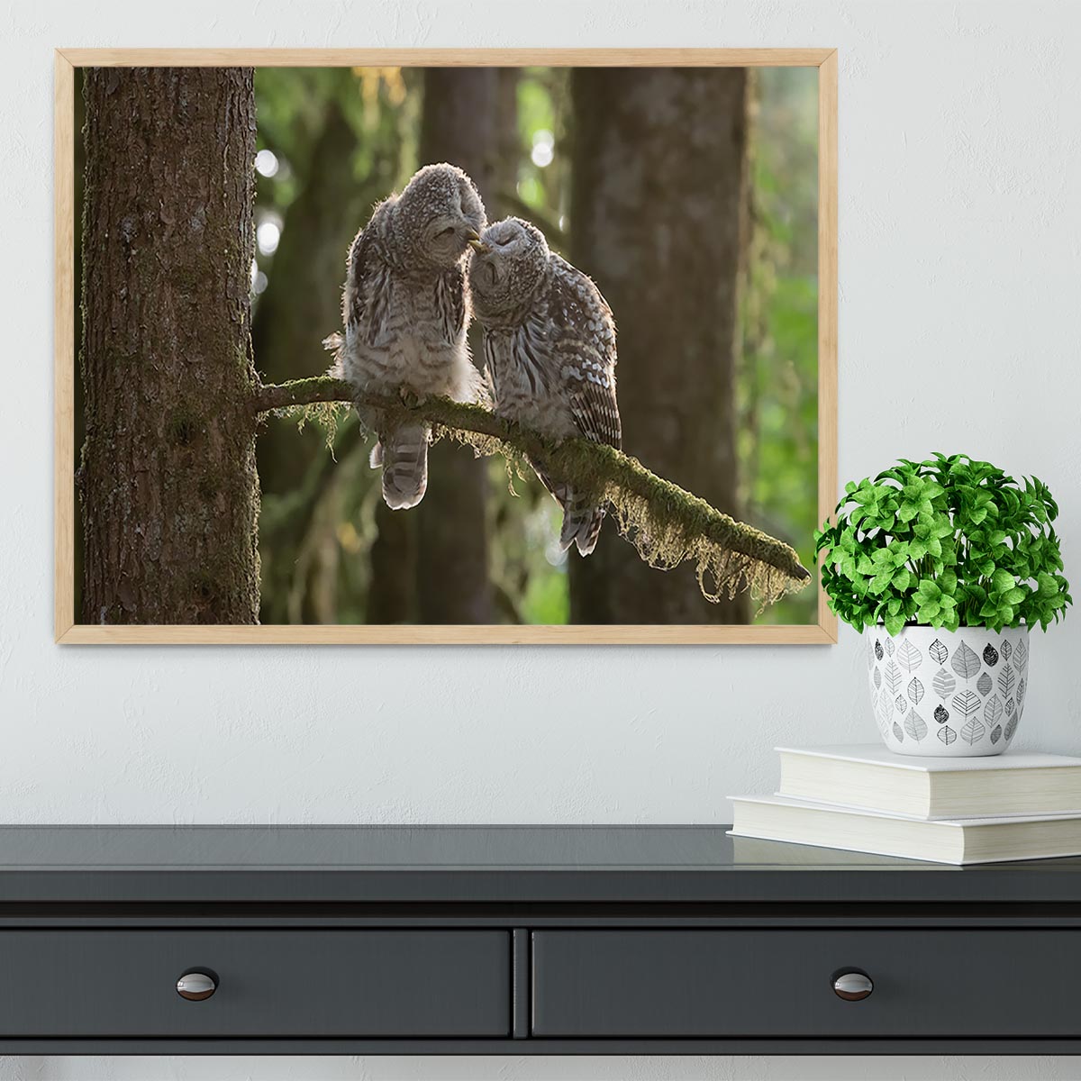 Two Owls Kissing Framed Print - Canvas Art Rocks - 4