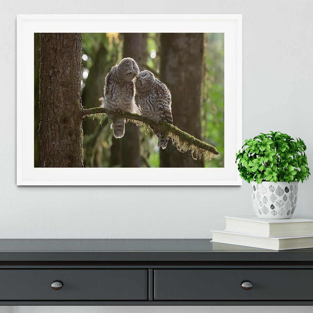 Two Owls Kissing Framed Print - Canvas Art Rocks - 5