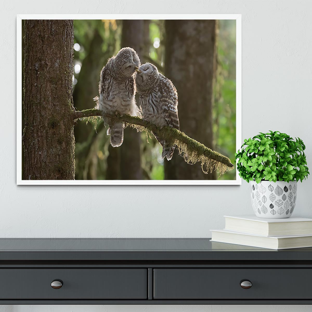 Two Owls Kissing Framed Print - Canvas Art Rocks -6