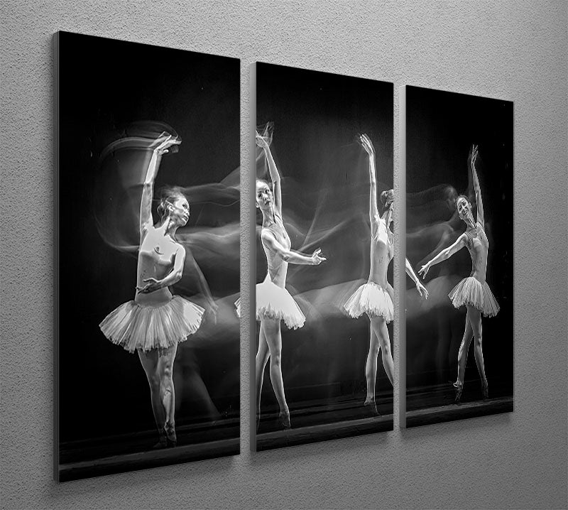 A Ballerinas Path 3 Split Panel Canvas Print - Canvas Art Rocks - 2