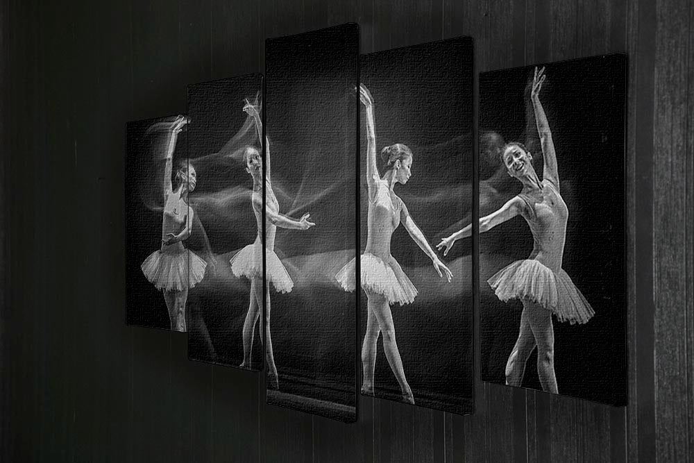 A Ballerinas Path 5 Split Panel Canvas - Canvas Art Rocks - 2
