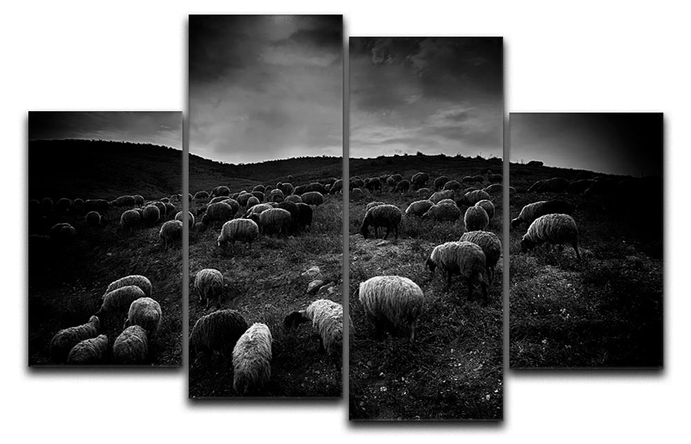 The sheep in the valley 4 Split Panel Canvas - Canvas Art Rocks - 1