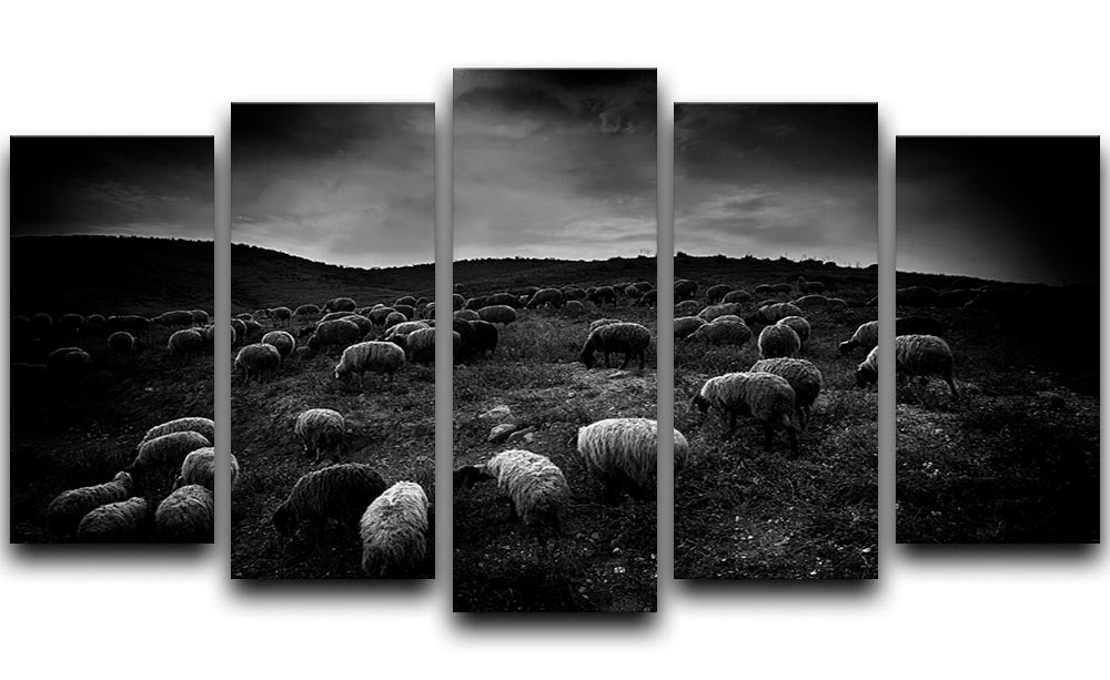The sheep in the valley 5 Split Panel Canvas - Canvas Art Rocks - 1