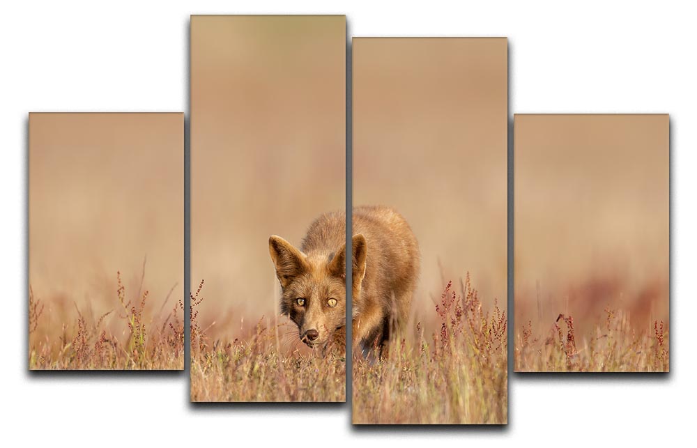 A Fox On The Hunt 4 Split Panel Canvas - Canvas Art Rocks - 1