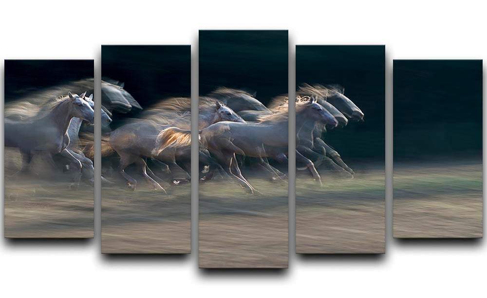 A Horses Gallop 5 Split Panel Canvas - Canvas Art Rocks - 1