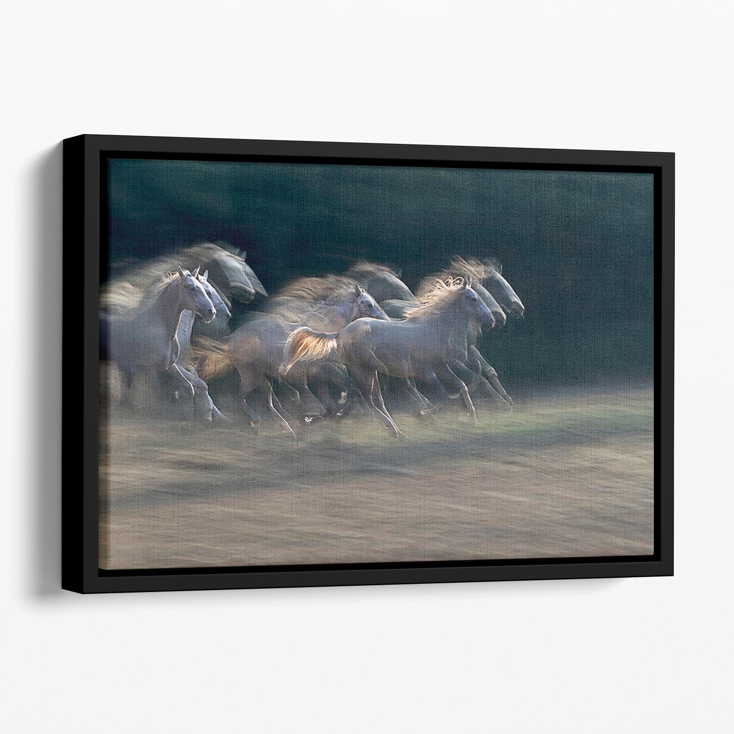 A Horses Gallop Floating Framed Canvas - Canvas Art Rocks - 1