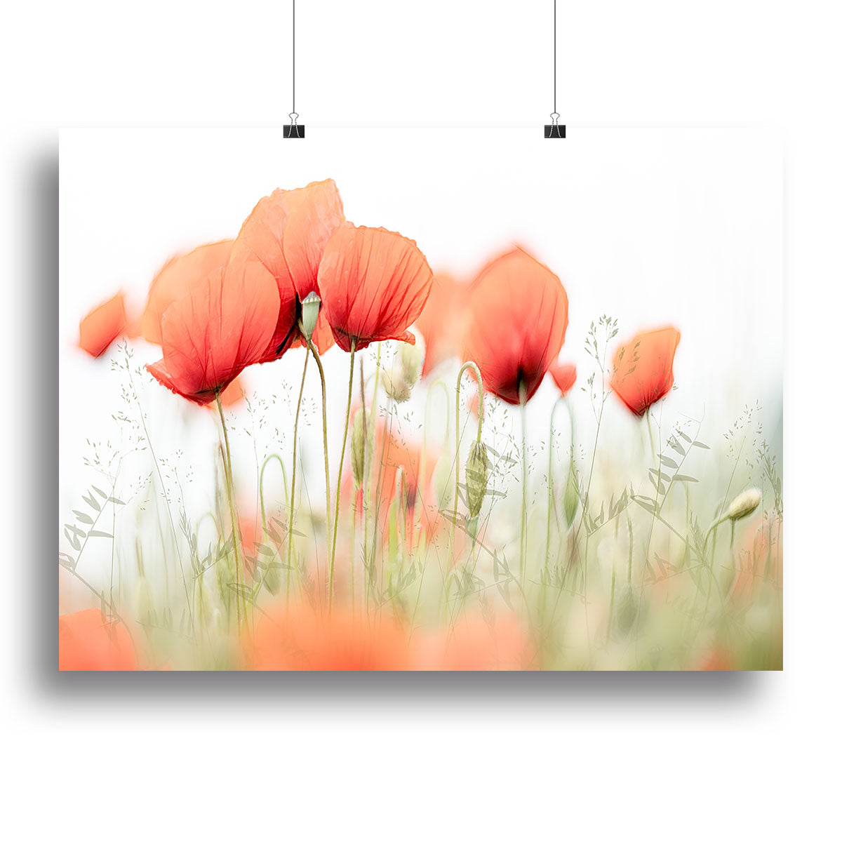 Poppies On A Summer Day Canvas Print or Poster - Canvas Art Rocks - 2