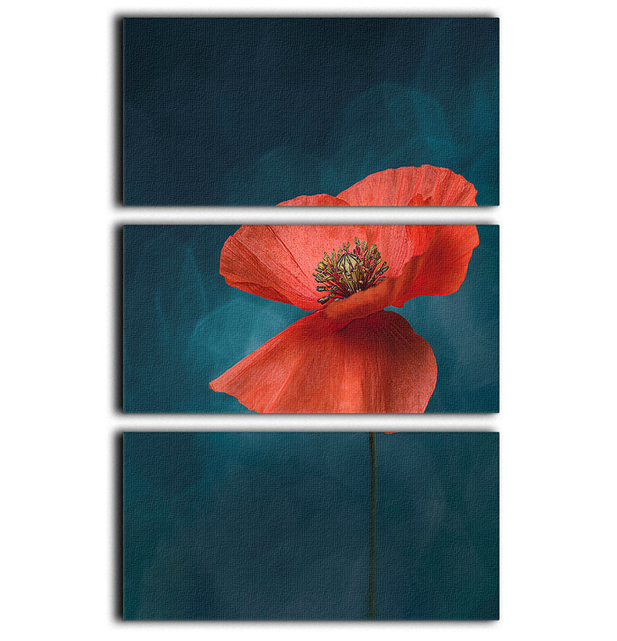 A Single Red Flower 3 Split Panel Canvas Print - Canvas Art Rocks - 1