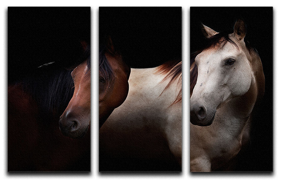 Horses In The Dark 3 Split Panel Canvas Print - Canvas Art Rocks - 1