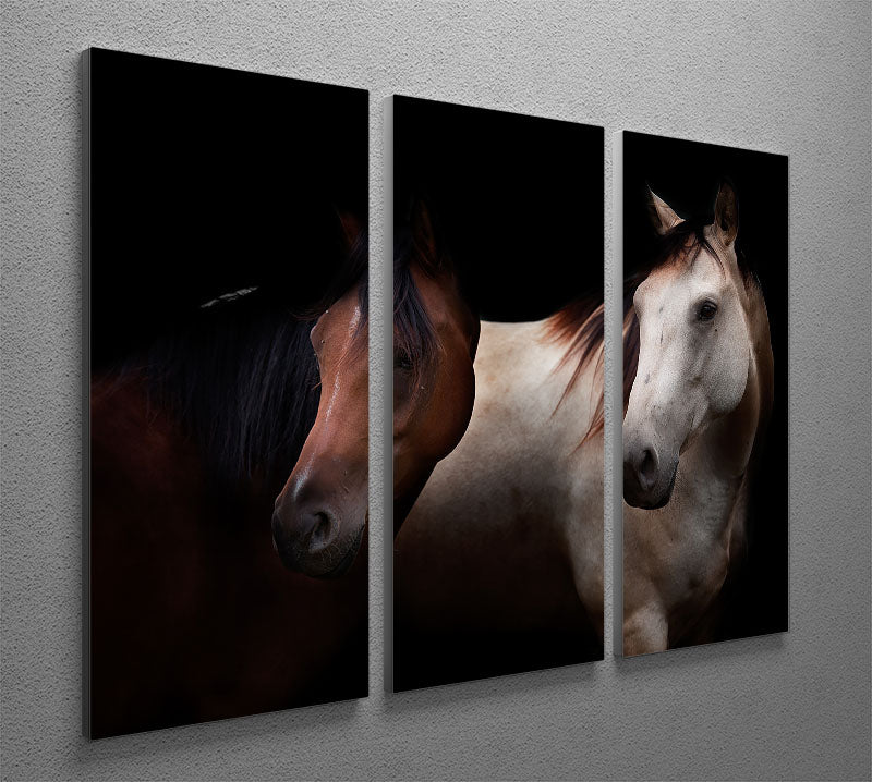Horses In The Dark 3 Split Panel Canvas Print - Canvas Art Rocks - 2