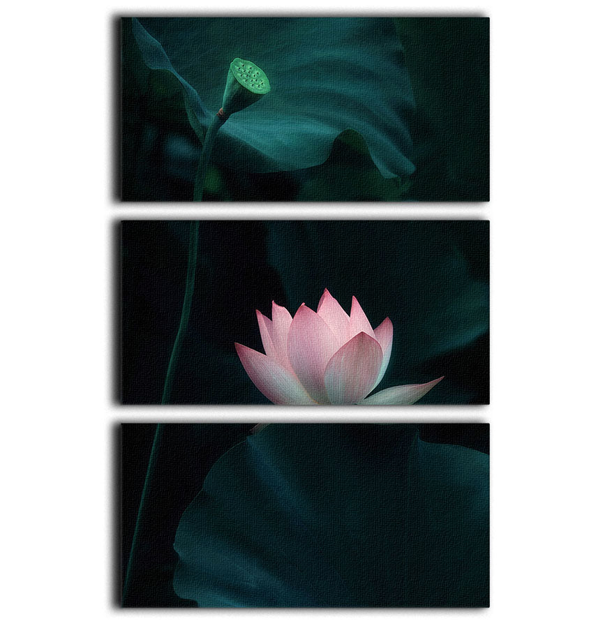 Lotus Flower 3 Split Panel Canvas Print - Canvas Art Rocks - 1