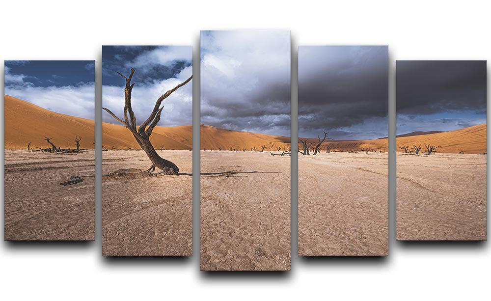Deadvlei Desert 5 Split Panel Canvas - Canvas Art Rocks - 1