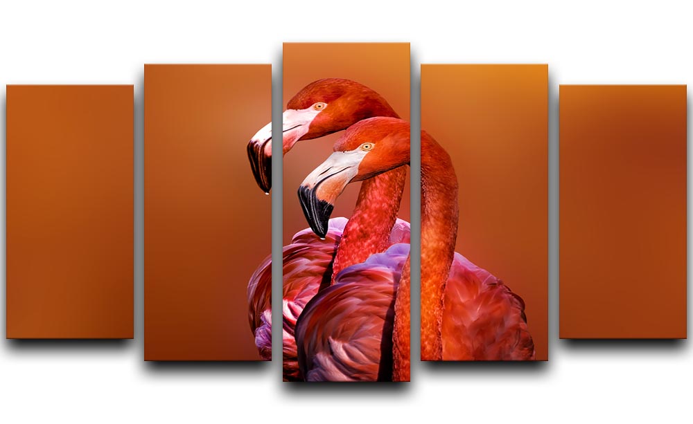 Flamingo Portrait 5 Split Panel Canvas - Canvas Art Rocks - 1
