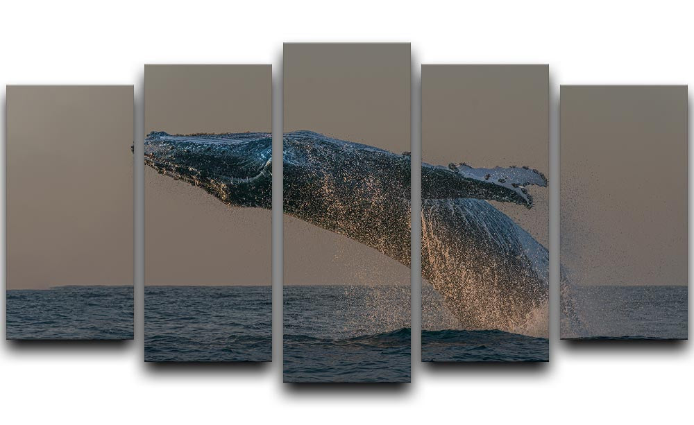 Whale Fliiping Out The Ocean 5 Split Panel Canvas - Canvas Art Rocks - 1