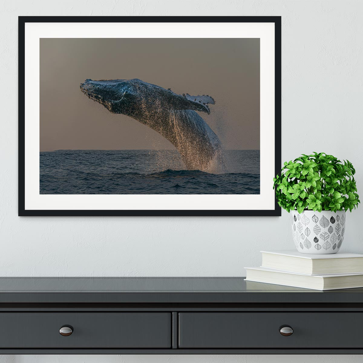 Whale Fliiping Out The Ocean Framed Print - Canvas Art Rocks - 1