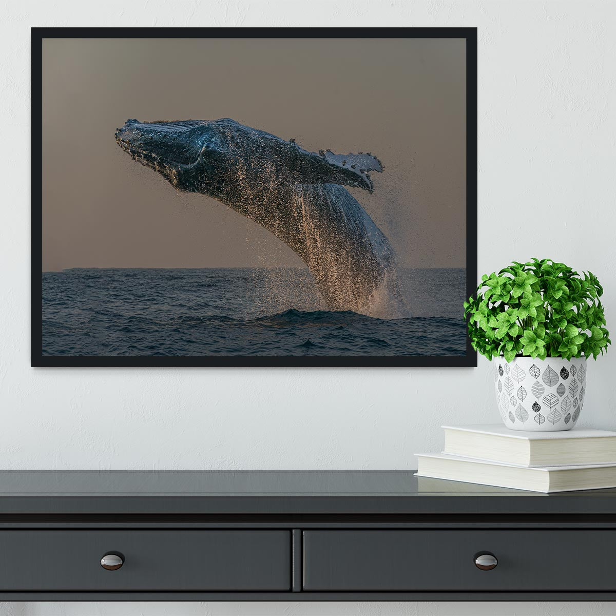 Whale Fliiping Out The Ocean Framed Print - Canvas Art Rocks - 2