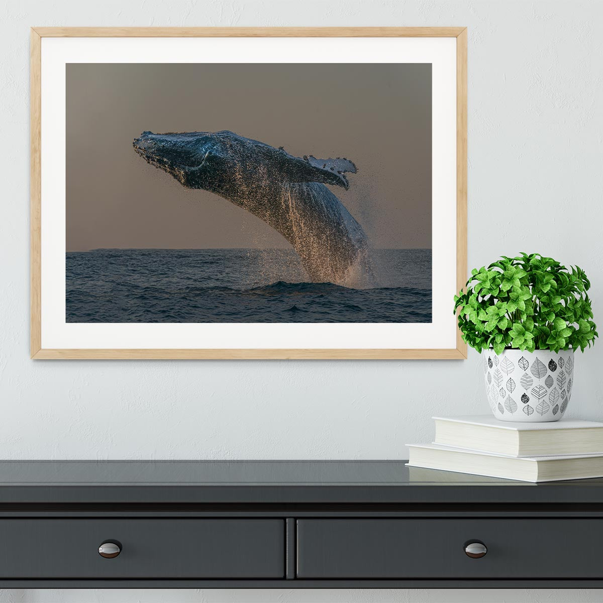 Whale Fliiping Out The Ocean Framed Print - Canvas Art Rocks - 3